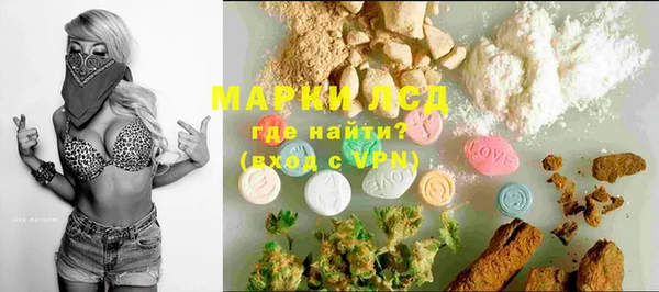 ПСИЛОЦИБИНОВЫЕ ГРИБЫ Костерёво