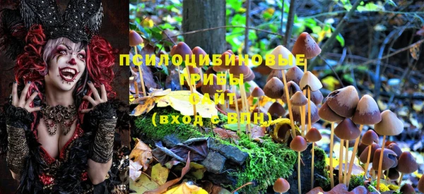 бошки Абаза
