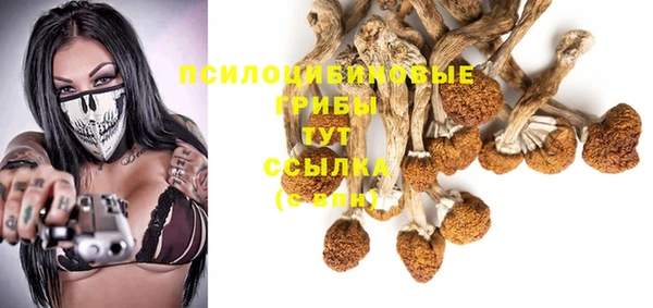 прущая мука Рославль