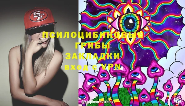 бошки Абаза
